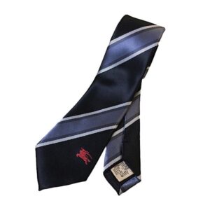 Gravata Burberry teste